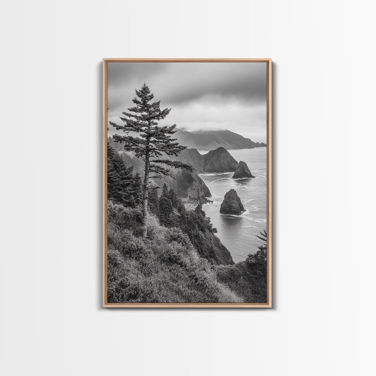 Oregon Coastline Misty Cliffs & Evergreen Forest Canvas Print