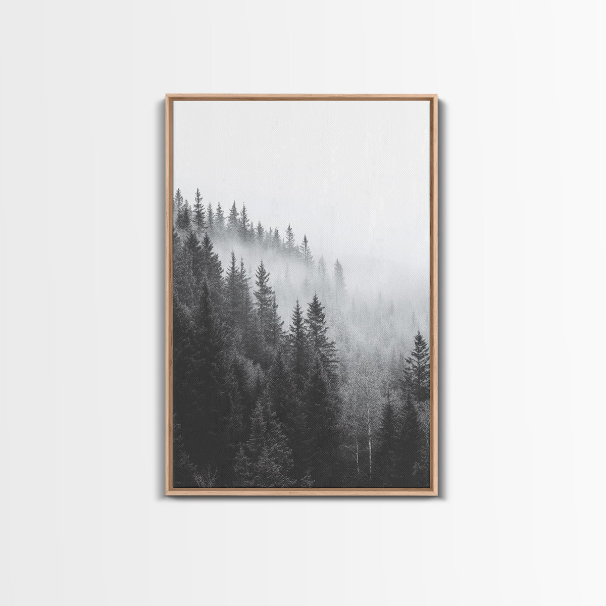 Misty Forest Pine Trees Foggy Morning Canvas Print