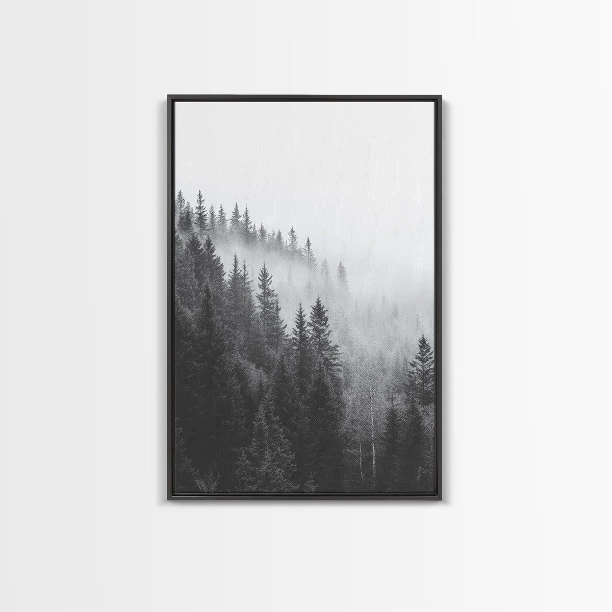 Misty Forest Pine Trees Foggy Morning Canvas Print