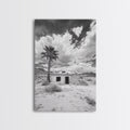 Palm Tree Desert Shack Western Minimalism Canvas Print