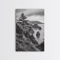 Oregon Coastline Misty Cliffs & Evergreen Forest Canvas Print