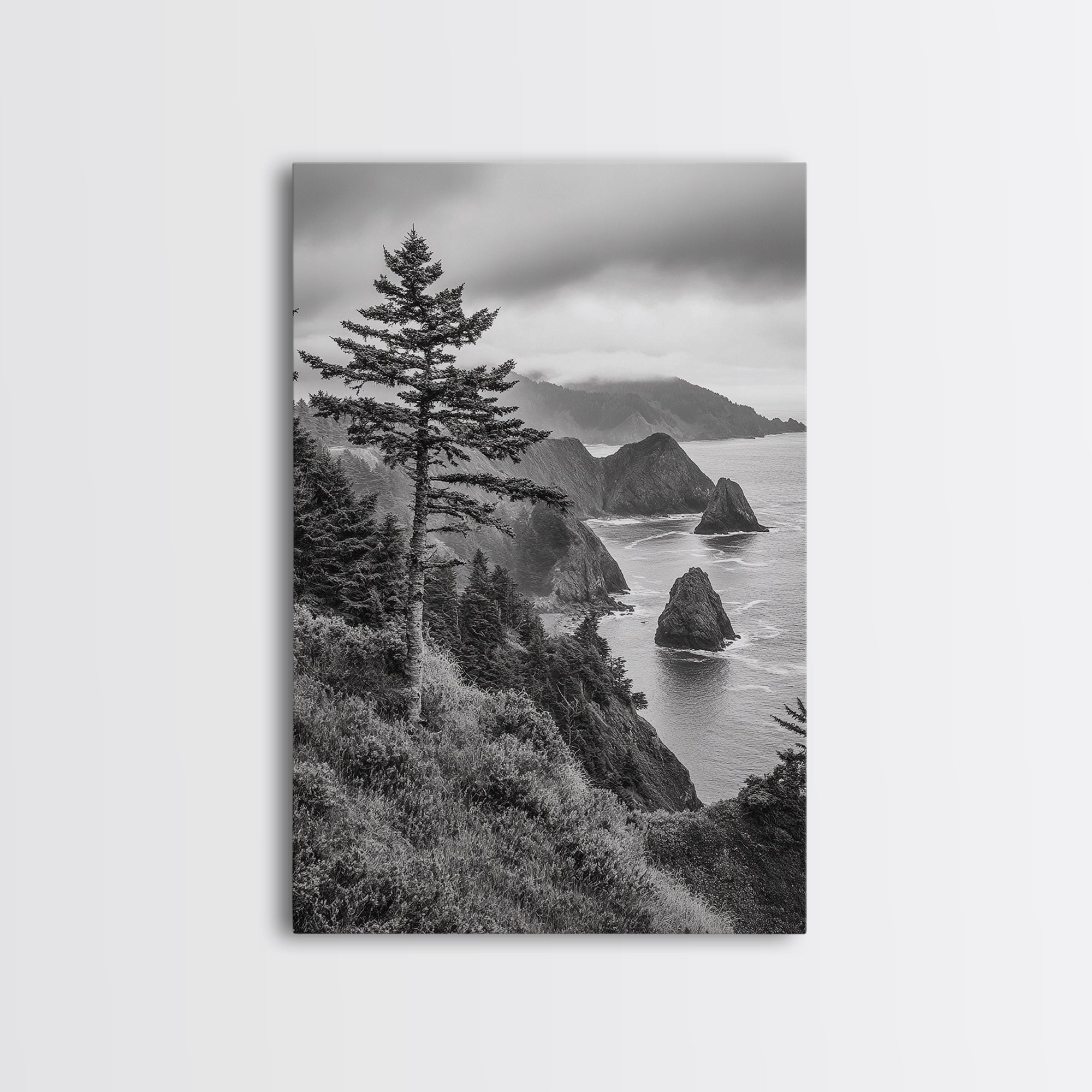 Oregon Coastline Misty Cliffs & Evergreen Forest Canvas Print