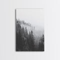 Misty Forest Pine Trees Foggy Morning Canvas Print