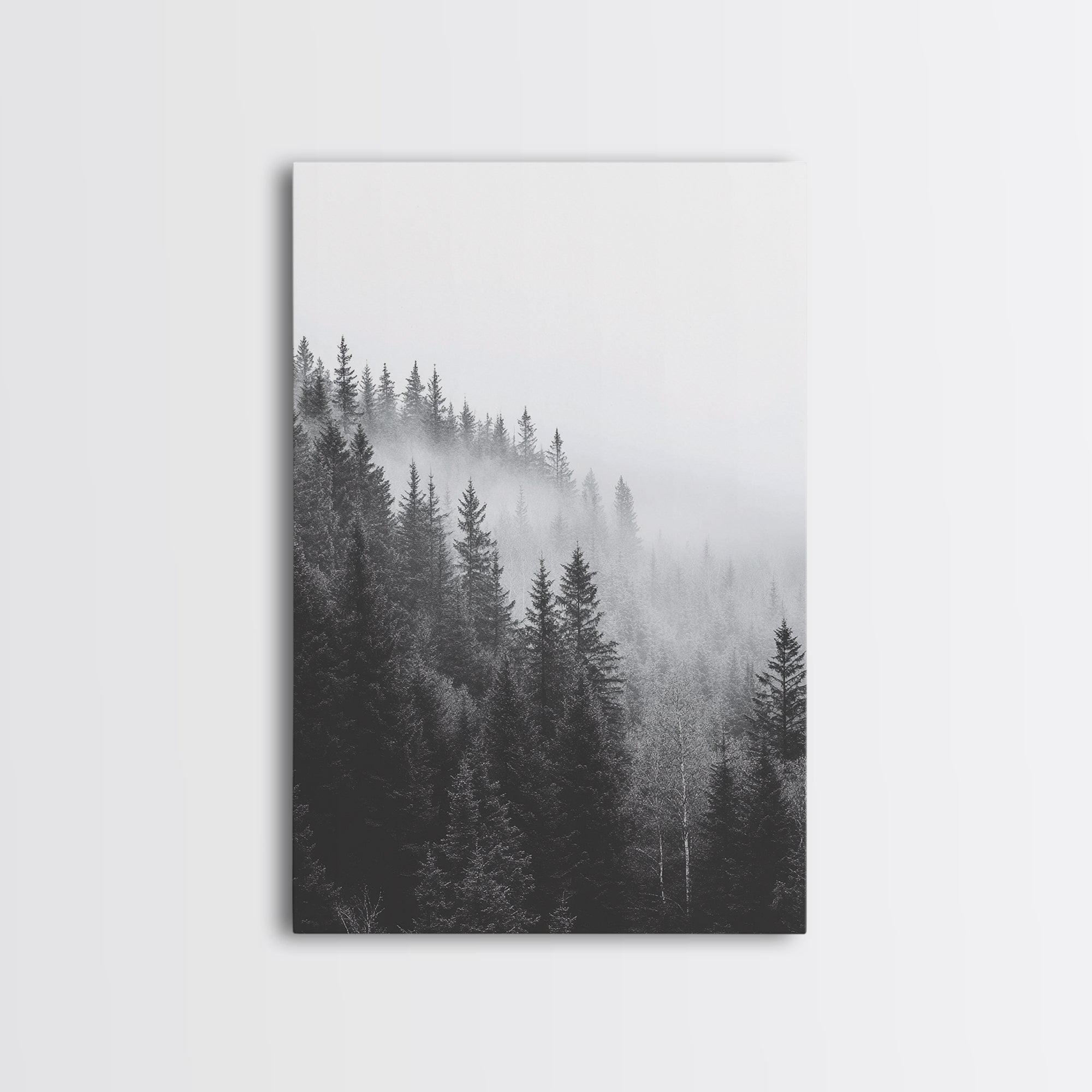 Misty Forest Pine Trees Foggy Morning Canvas Print