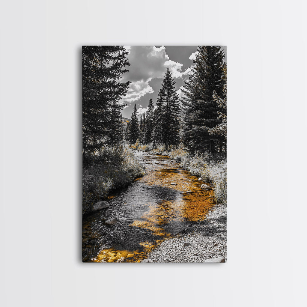 Forest Stream Autumn Glow Canvas Print