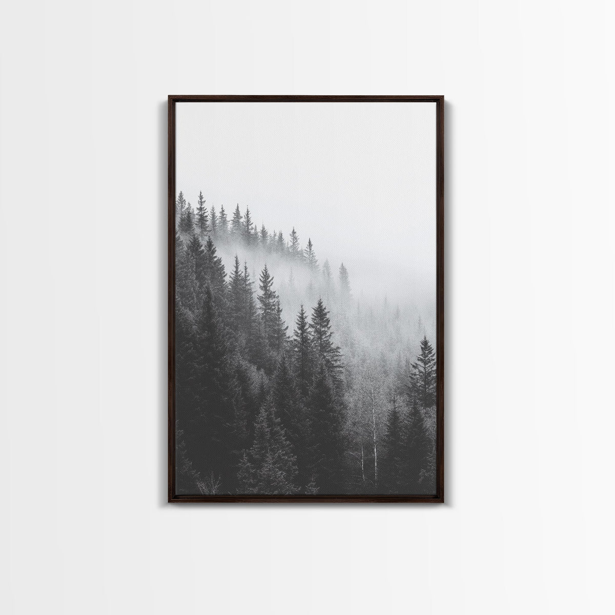 Misty Forest Pine Trees Foggy Morning Canvas Print