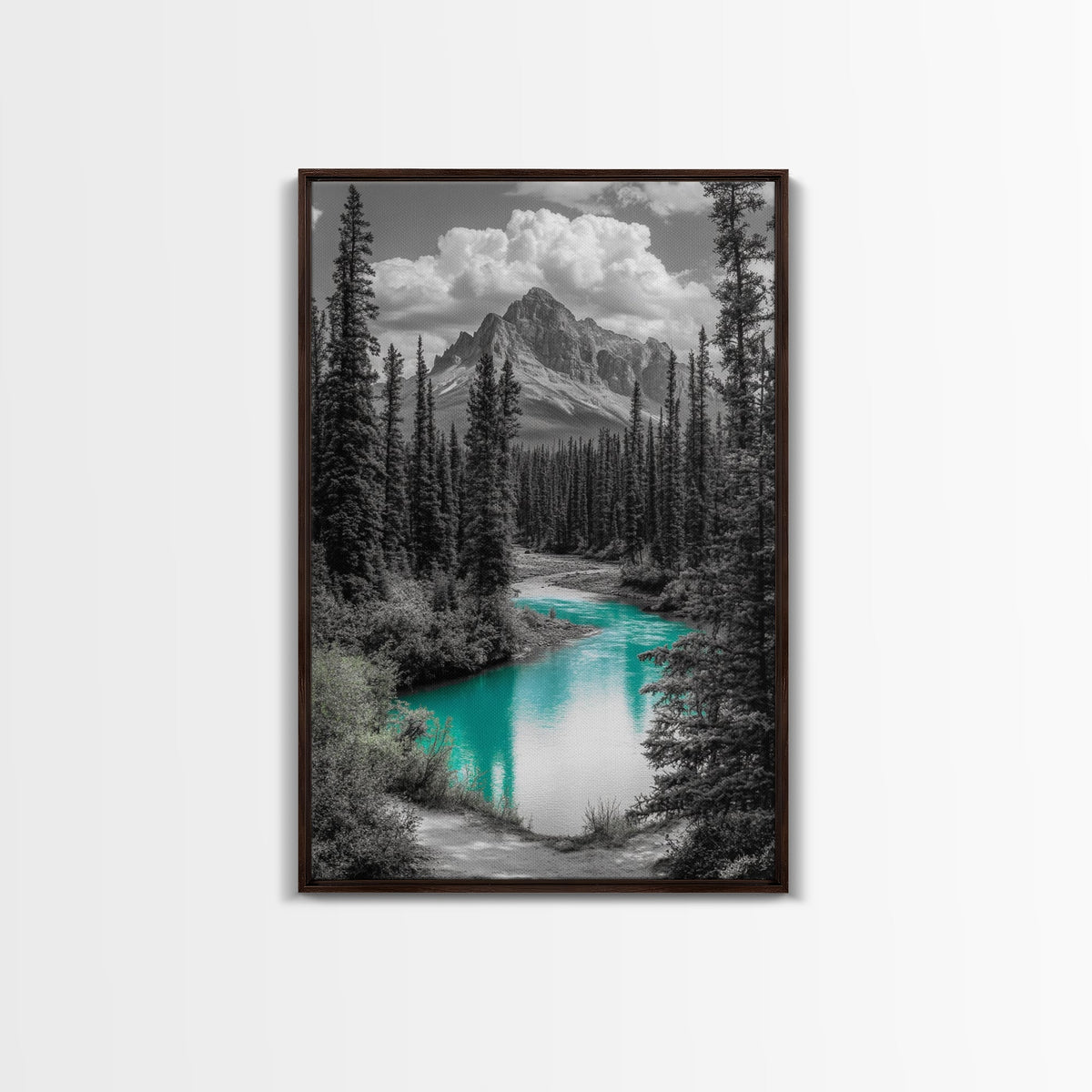 Mountain River Turquoise Stream Canvas Print