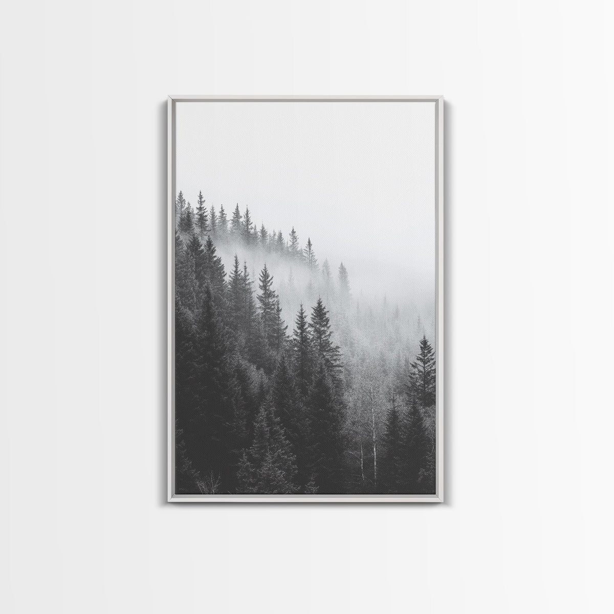 Misty Forest Pine Trees Foggy Morning Canvas Print