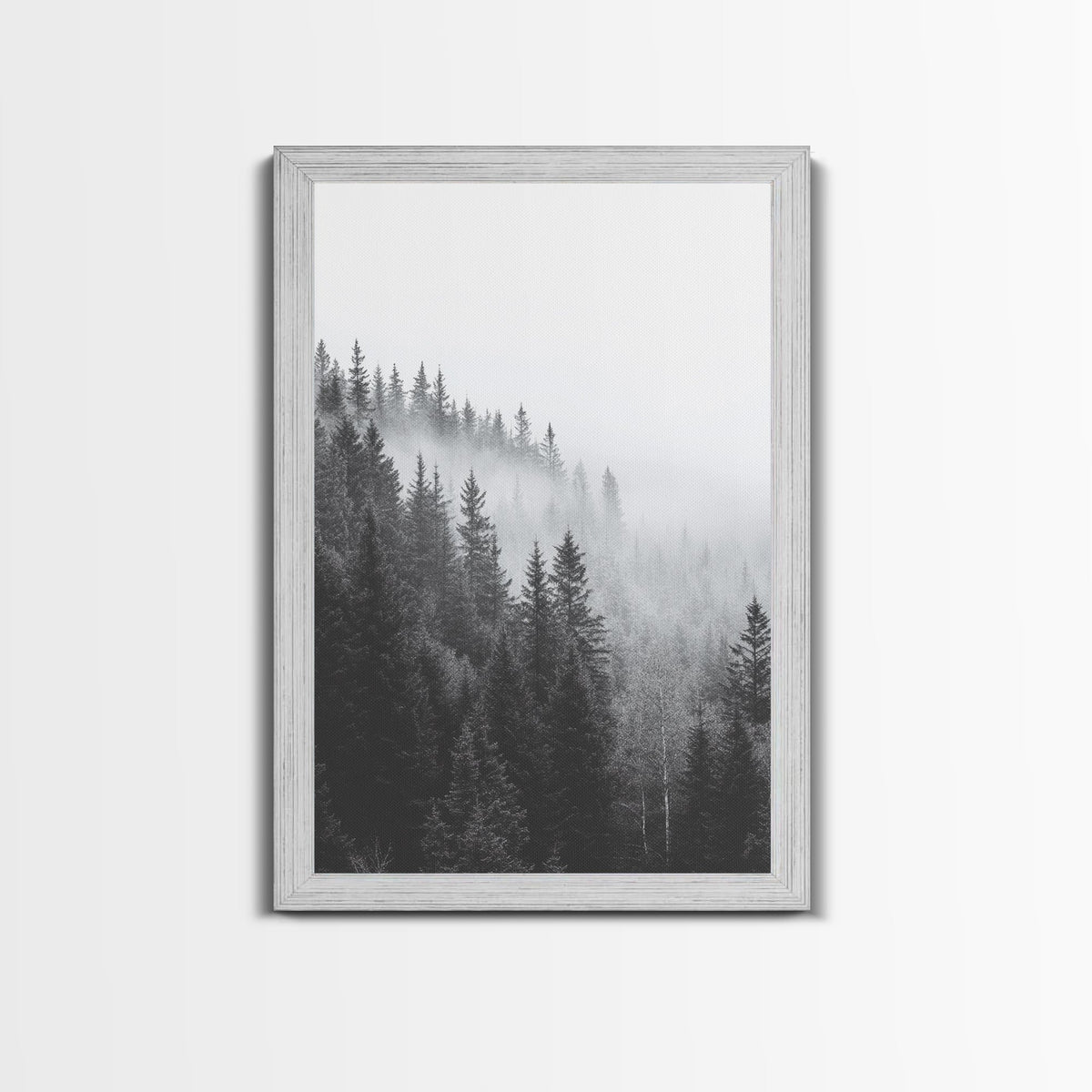 Misty Forest Pine Trees Foggy Morning Canvas Print