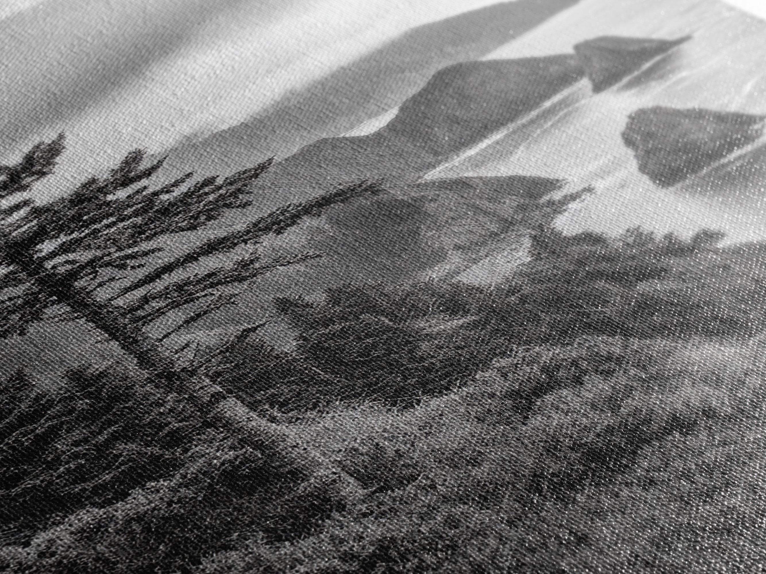 Oregon Coastline Misty Cliffs & Evergreen Forest Canvas Print