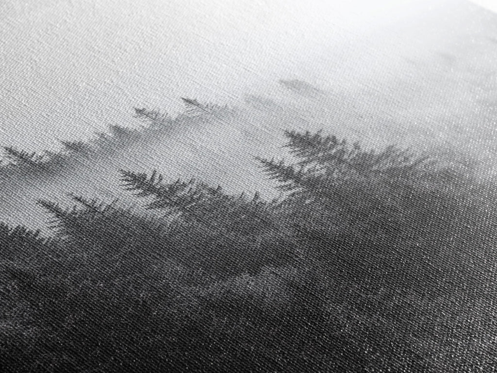 Misty Forest Pine Trees Foggy Morning Canvas Print