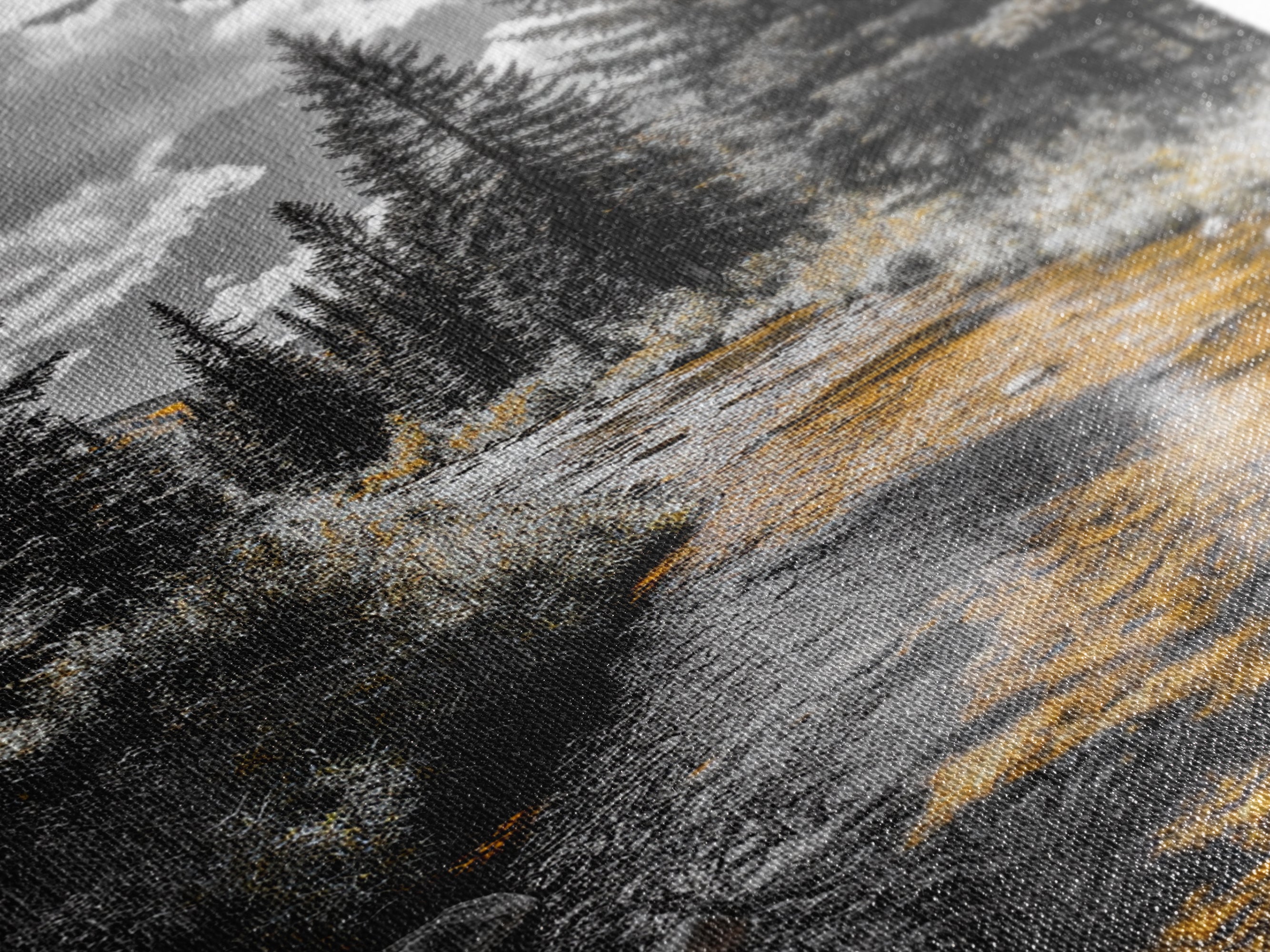 Forest Stream Autumn Glow Canvas Print