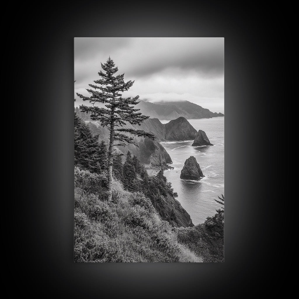 Oregon Coastline Misty Cliffs & Evergreen Forest Canvas Print