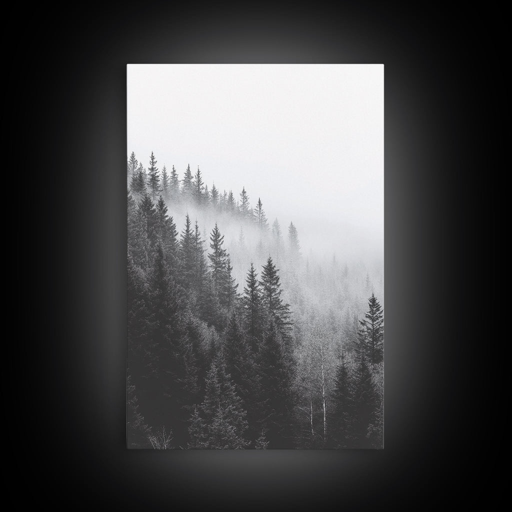 Misty Forest Pine Trees Foggy Morning Canvas Print