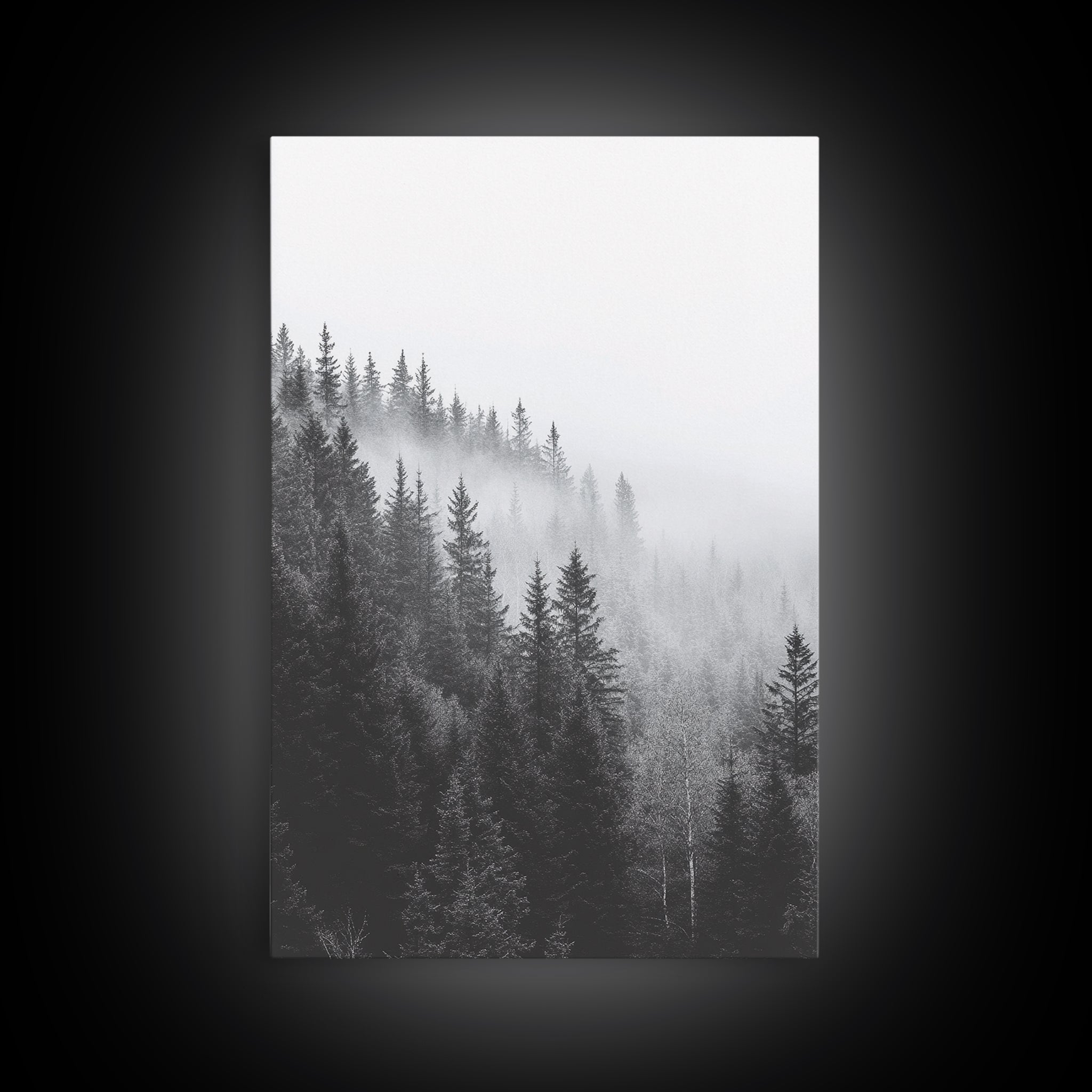 Misty Forest Pine Trees Foggy Morning Canvas Print