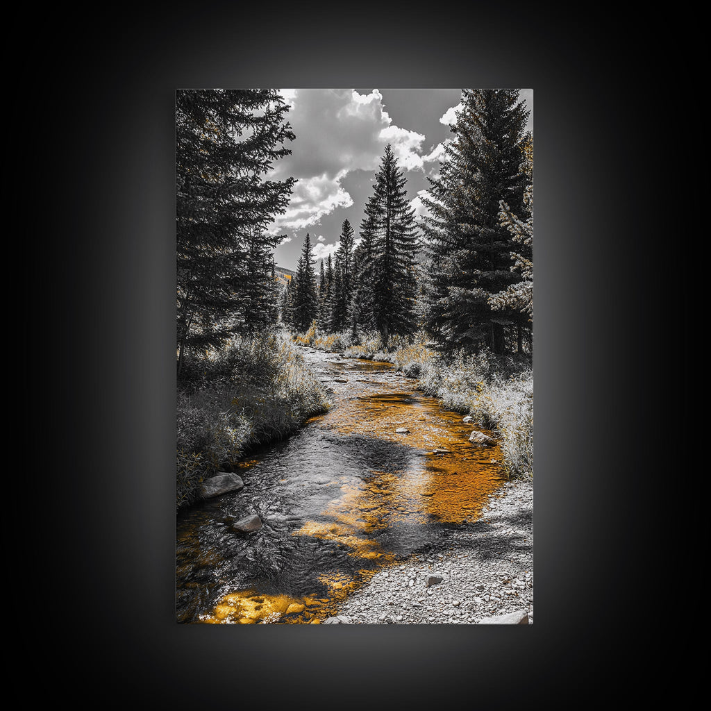 Forest Stream Autumn Glow Canvas Print