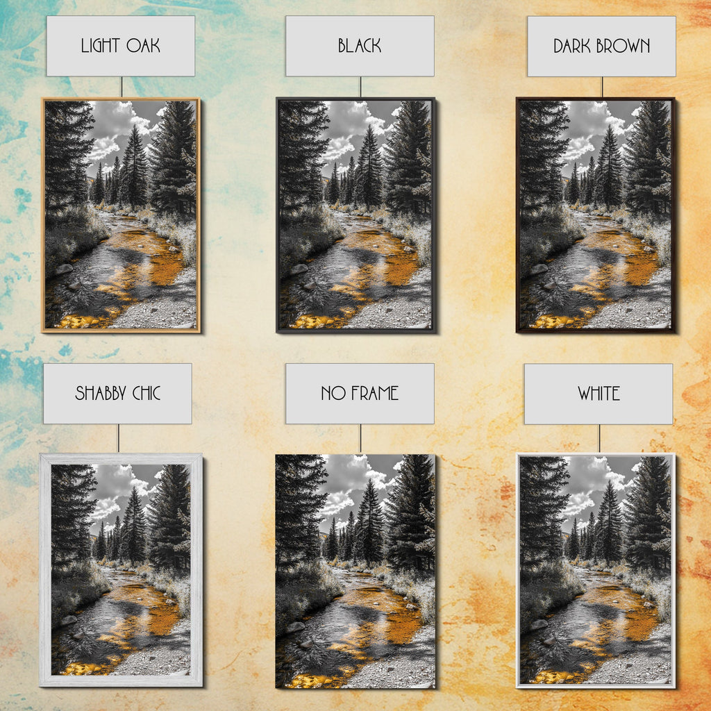 Forest Stream Autumn Glow Canvas Print